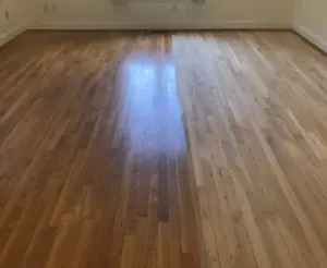 Carpet VS Hardwood