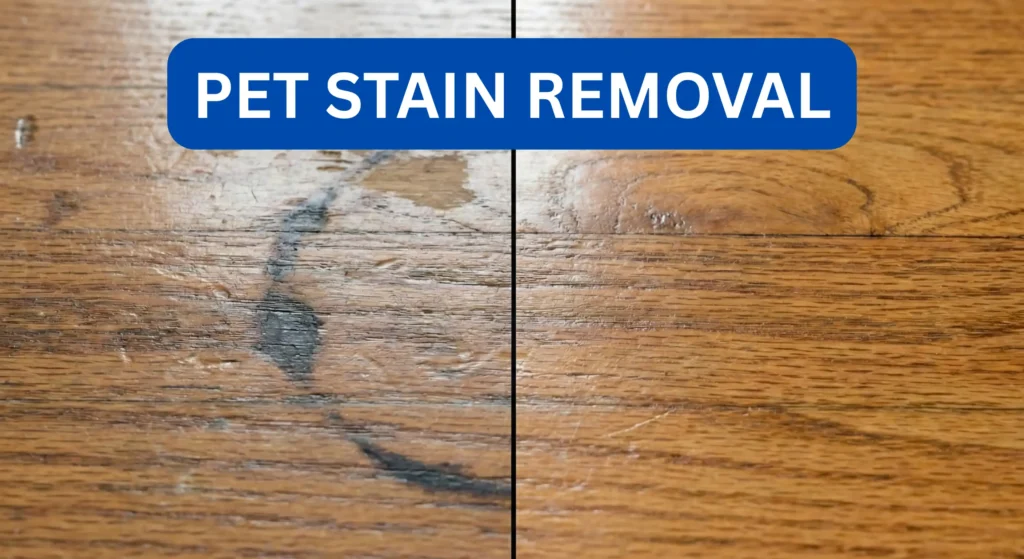PET STAIN REMOVAL