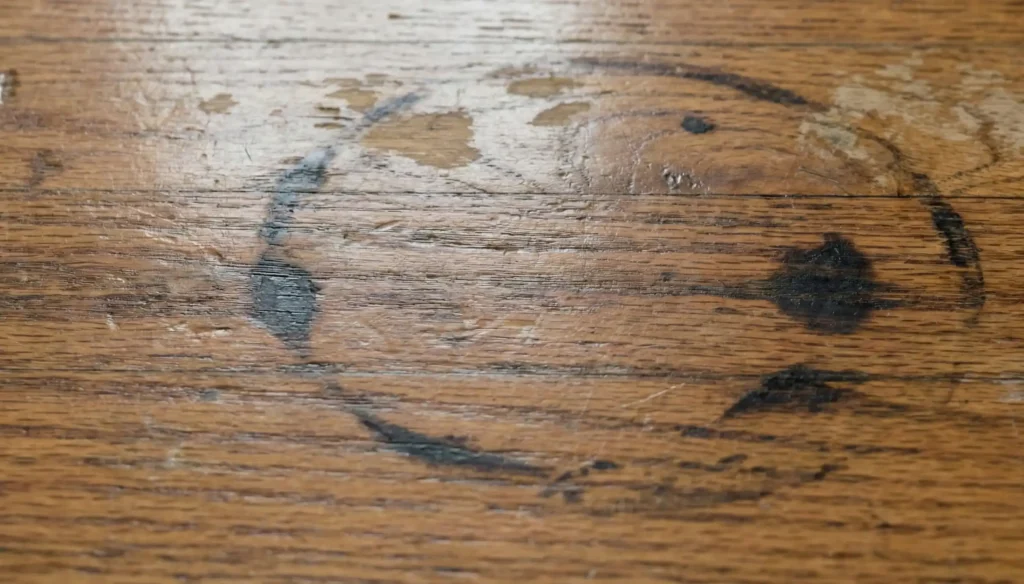 pet stains on hardwood floor